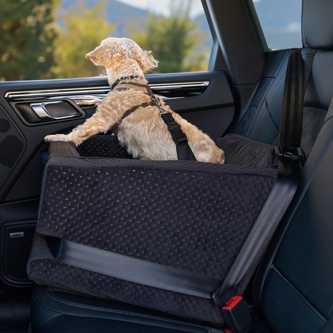 luxury elevated pet car seat – soft booster seat for small dogs & cats (black) luxury elevated pet car seat – soft booster seat for small dogs & cats (black)