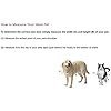 ideal pet products aluminum sash window pet door, adjustable to fit window widths from 33" to 38", large 10 1/2” x 15” flap size ideal pet products aluminum sash window pet door, adjustable to fit window widths from 33" to 38", large 10 1/2” x 15” flap size