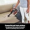shark rocket ultra light corded bagless vacuum for carpet and hard floor cleaning with swivel steering (hv301), gray/orange shark rocket ultra light corded bagless vacuum for carpet and hard floor cleaning with swivel steering (hv301), gray/orange