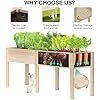 mixc 72”l x 23”w raised garden bed outdoors with legs, elevated reinforced wooden large planter box for backyard, patio, balcony w/divider panel, 6 legs, 300lb capacity mixc 72”l x 23”w raised garden bed outdoors with legs, elevated reinforced wooden large planter box for backyard, patio, balcony w/divider panel, 6 legs, 300lb capacity