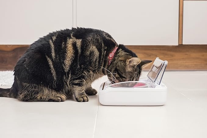 sure petcare surefeed motion activated sealed pet bowl not microchip activated sure petcare surefeed motion activated sealed pet bowl not microchip activated
