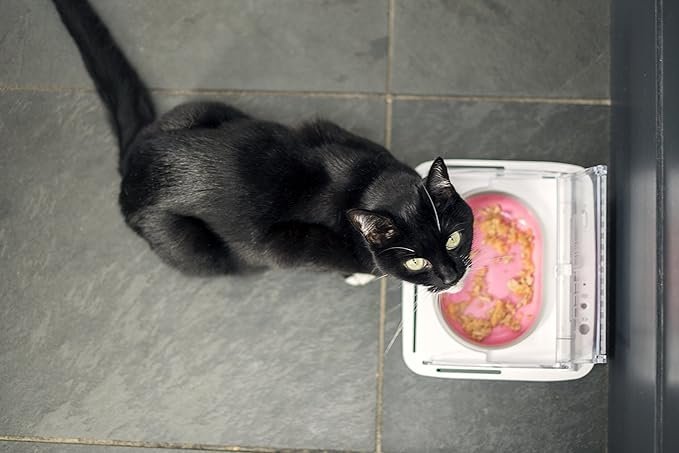 sure petcare surefeed motion activated sealed pet bowl not microchip activated sure petcare surefeed motion activated sealed pet bowl not microchip activated