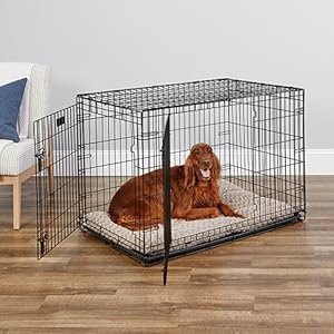 midwest homes for pets 42 inch icrate for large breeds, 71 90 lbs, double door folding dog crate with divider panel, leak proof tray & secure latches, portable, durable & easy to assemble midwest homes for pets 42 inch icrate for large breeds, 71 90 lbs, double door folding dog crate with divider panel, leak proof tray & secure latches, portable, durable & easy to assemble